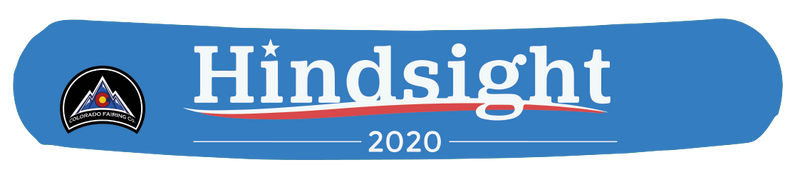 Hindsight 2020 Wrap